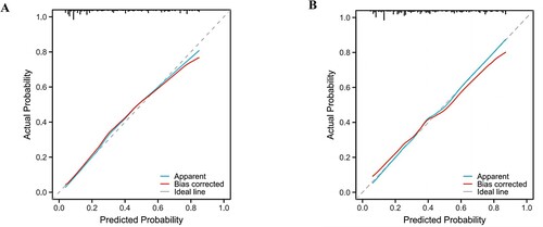 Figure 5 Calibration curves of the predictive hyponatremia after SCI risk nomogram. The y-axis represents actual diagnosed cases of hyponatremia after SCI, the x-axis represents the predicted risk of hyponatremia after SCI. The diagonal dotted line represents a perfect prediction by an ideal model, the solid line represents the performance of the training set (A) and test set (B), and the results indicating that a closer fit to the diagonal dotted line represents a better prediction.