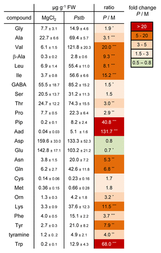 Figure 1. Changes in the levels of free amino acids and amines in N. tabacum cv Xanthi leaves upon inoculation with compatible P. syringae pv tabaci (Pstb) 2 d post inoculation (dpi). Mean values of 3 to 5 replicate samples are given in µg g−1 fresh weight (FW) ± SD. Mock-treatments were performed by infiltration of leaves with a 10 mM MgCl2 solution. Asterisks denote statistically significant differences between Pstb- and MgCl2-samples (2-tailed t-test; ***: p < 0.001; **: p < 0.01; *: p < 0.05). Ratios of the values of the Pstb (P)- and the MgCl2 (M)-samples (P/M) are also given.