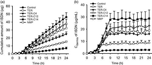 Figure 1. In vivo transdermal permeation profiles of ISDN after treated with DIA patches with different enhancers. (a) The cumulative amount profiles of ISDN; (b) the drug concentration–time curves of ISDN collected from the dermis. (n = 6).