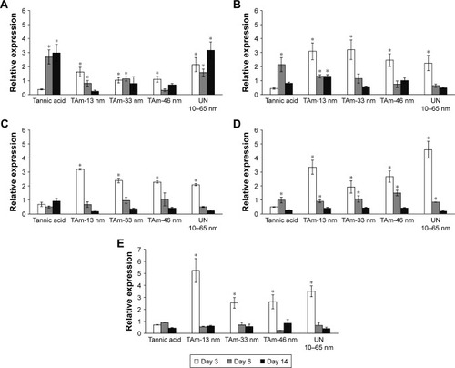 Figure 9 Cytokine expression changes in wounds subjected to treatment with TAm and unmodified AgNPs at days 3, 6 and 14 from injury.Notes: mRNA levels of (A) IL-1β, (B) TNF-α, (C) VEGF-α, (D) PDGF-β, and (E) TGF-β1 are expressed as expression relative to control on the basis of the 2ΔΔCt method. mRNA levels were counted from 3 PCR reactions for each sample. N=3. *p≤0.05 versus untreated control.Abbreviations: AgNPs, silver nanoparticles; IL, interleukin; PCR, polymerase chain reaction; PDGF-β, platelet-derived growth factor-β; TAm, tannic acid-modified; TGF-β1, transforming growth factor-β1; TNF-α, tumor necrosis factor-α; UN, unmodified; VEGF-α, vascular endothelial growth factor-α.