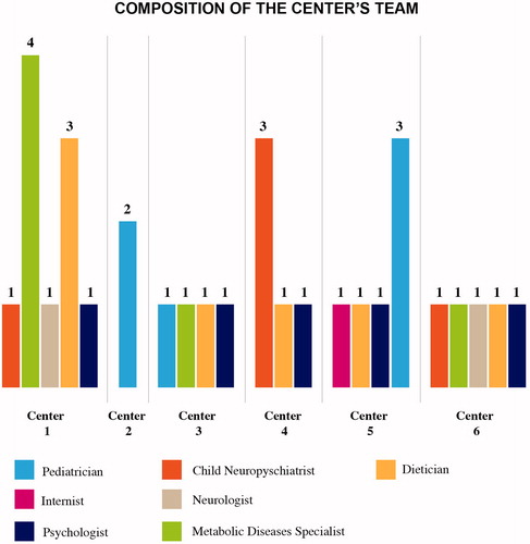 Figure 1. Composition of the center’s team.