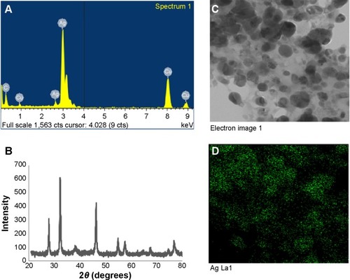 Figure 3 Silver nanoparticles examined under a variety of conditions.Notes: Energy dispersive X-ray spectroscopy of the whole scan area showing major peak of silver nanoparticles at 3 keV (A); X-ray diffraction patterns of silver nanoparticles obtained by Brevibacterium frigoritolerans DC2 (B); transmission electron micrograph of silver nanoparticle pellet solution (C); silver nanoparticles, green (D).