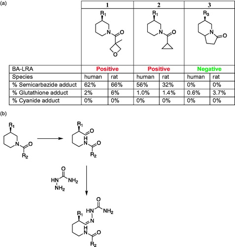 Figure 21. SAR analysis of Bruton’s tyrosine kinase reversible covalent inhibitors. (a) Chemical structures and bioactivation assessment of MRK-A (1), MRK-B (2), and MRK-C (3). (b) Proposed bioactivation pathway of 1 and 2; semicarbazide-adduct formation. (Figures re-drawn and adapted from Monroe et al. Citation2020).