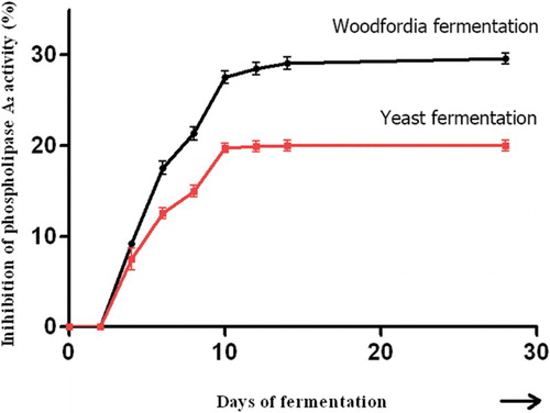 Figure 2. Enhancement of phospholipase A2 inhibition due to berberine/biotransformed berberine by traditional and brewer's yeast fermentation. The curves denote the average of three concurrent sets of experiments.