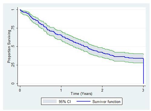 Figure 2 3-year overall colorectal cancer survival.