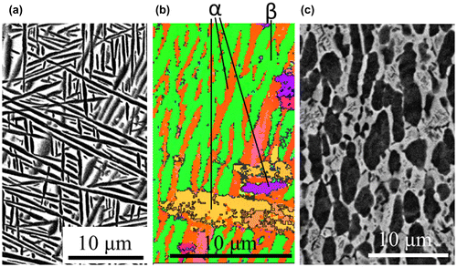 Figure 1. Starting microstructures of (a), (b) lamellar (α+β) microstructure and (c) equiaxed (α+β) microstructure of the Ti-17 alloy ((a) and (c) depict the SEM-BSE images and (b) depicts the EBSD-orientation image). In the SEM images, the white regions correspond to the β phase and the black regions correspond to the α phase.