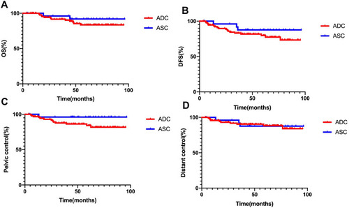 Figure 1 Kaplan-Meier curves of (A) overall survival (OS), (B) disease-free survival (DFS), (C) pelvic control and (D) distant control rates for adenocarcinoma (ADC) and adenosquamous carcinoma (ASC) patients.