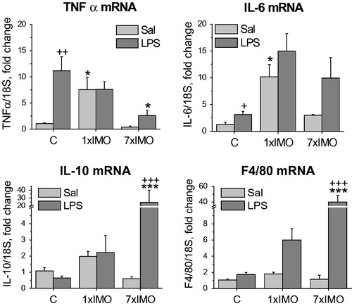 Figure 3. Levels of mRNAs encoding several immunological factors in adipocyte fractions. Interleukin 6 (IL-6), tumor necrosis factor (TNF-α), interleukin 10 (IL-10) and marker of differentiated macrophages (F4/80) in control rats (C) and in rats exposed to a single (1 × IMO) and repeated (7 × IMO) immobilization with subsequent injection of saline (Sal) or lipopolysaccharide (LPS). Each column is displayed as mean ± S.E.M. and represents an average of 5–6 animals. Values of *p < 0.05, **p < 0.01, ***p < 0.001 defined the statistical significance versus control groups and values of +p < 0.05, ++p < 0.01, +++p < 0.001 LPS versus saline groups of the same stress interval.