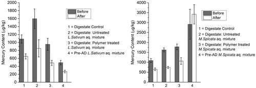 Figure 3. Mercury content in digestate and pre-anaerobic digestion aqueous mixture for L. sativum (left) and M. spicata (right) samples before and after 24-hour treatment with block polymer (mean, n = 3, error bars = standard deviation; p < 0.01).