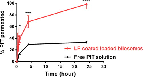 Figure 8. Permeation studies of PIT-LF-coated loaded bilosomes and free drug solution across Caco-2 cell monolayer. Data are expressed as mean ± SD, (n = 3). LF-coated formula showed statistically significant results where ****p ≤ .0001 when compared to free PIT solution.