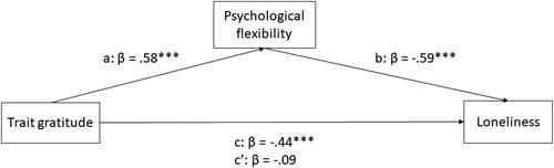 Figure 1. The association between trait gratitude and loneliness, mediated by psychological flexibility.