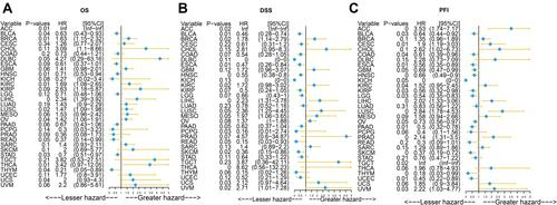 Figure 3 Prognostic analysis via Univariate Cox regression of RAB40C. (A) Effect of RAB40C on the overall survival (OS) of pan-cancer. (B) Effect of RAB40C on the disease-specific survival (DSS) of pan-cancer. (C) Effect of RAB40C on the progression-free survival interval (PFI) of pan-cancer.