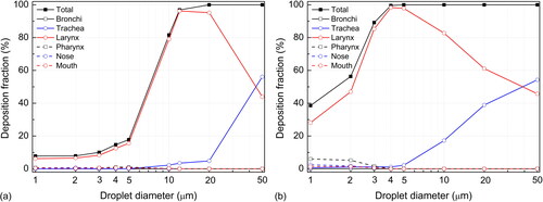 Figure 8. Local deposition of droplets released from trachea at flow rates of (a) 10 L/min and (b) 90 L/min.