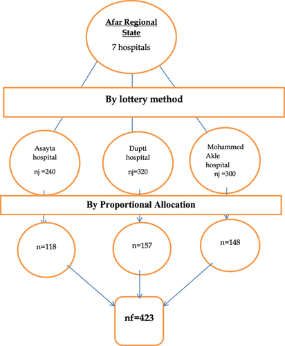 Figure 1 Sampling Procedure of a study on infant feeding practices of HIV positive mothers attending PMTCT services in selected governmental hospitals in Afar regional state, Ethiopia, 2022.