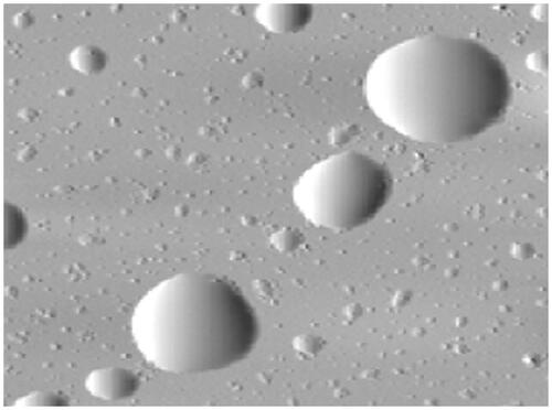 Figure 4. Atomic force microscopy images of oral AmB emulsion (Thornton & Wasan, Citation2009).