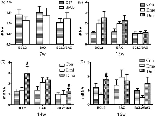 Figure 6. mRNA expression of Bcl-2 and Bax in islets. Con, C57 mice; Dmo, vehicle-treated db/db mice; Dmi, SB203580-treated db/db mice (*, p < 0.05, Dmo vs. Con; #p < 0.05, Dmi vs. Dmo).