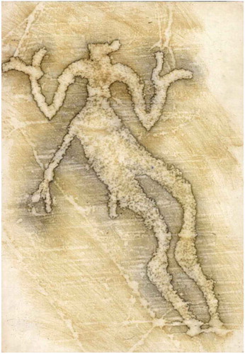 Figure 9. A rubbing of the Järrestad “Dancing God”. Starting with the head, one can see possible bird-like characteristics of the figure—representing the head of a swan or goose. Proceeding downward, the un-pecked band splitting the figure’s two upper halves seems to be attached to the scabbard and the potential knife sheath shown in the image, possibly representing a belt. Pairing the large size this figure with its stance, shown with its knees bent and its legs together (as if about to leap), it is hard to deny the ritualistic interpretations attributed to this image. (Swedish Rock Art Research Archives Citation2008)