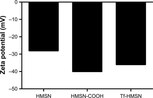 Figure S3 Zeta potential of HMSN, HMSN-COOH, and Tf-HMSN.Abbreviations: HMSN, hollow mesoporous silica nanoparticle; HMSN-COOH, carboxyl group on HMSN; Tf-HMSN, transferrin-conjugated HMSN.