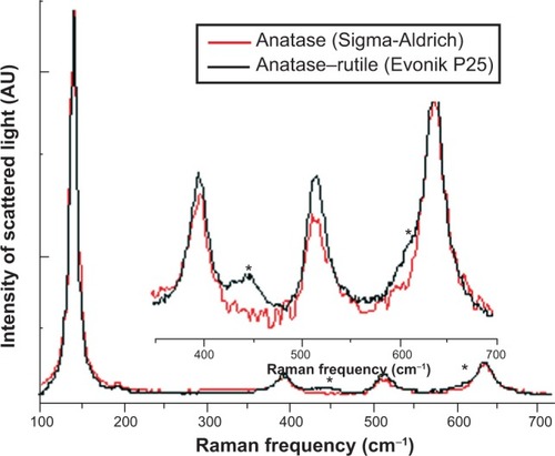 Figure 2 Raman spectra of TiO2 100% anatase and Evonik TiO2 P25 nanoparticles.Notes: The inset shows a magnified view of 350–700 cm−1 of the Raman spectra. *The area of Raman spectra where the rutile TiO2 phase became evident. Analysis was performed from the stock solution. Evonik TiO2 P25; Evonik Industries, Essen, Germany. Sigma-Aldrich TiO2; Sigma-Aldrich Co., St Louis, MO, USA.Abbreviation: AU, arbitary units.