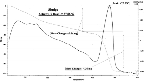 Figure 2 Thermal analysis of the dry sludge.