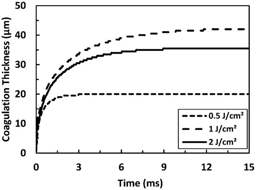 Figure 8. Predicted coagulation thickness as a function of time as a result of irradiation with a 200 µs long Er:YAG laser pulse. Two sub-ablative fluence values (0.5 and 1 J cm−2) and one ablative fluence value (2 J cm−2) are presented. Ablation threshold here was 1.22 J cm−2.
