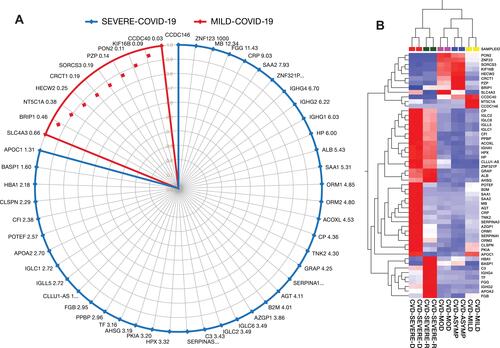 Figure 6 (A) Potential protein panel for diagnosis of asymptomatic cases, prognosis of COVID-19 disease progression from mild to severe COVID-19, and prediction of disease outcomes among severely ill patients. (B) The heat map shows the relative amounts of proteins by color as either upregulation with positive z-scores in red or downregulation with negative z-scores in blue using Qlucore Omics Explorer version 3.7 (Lund, Sweden).