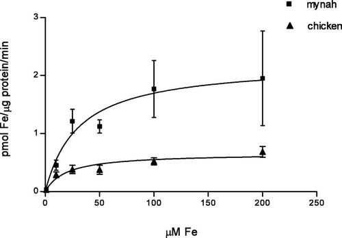 Fig. 4 Kinetic curve. Fe(II) ascorbate uptake, 1 to 200 μM. Values are mean (standard deviation). ▪, Mynah. ▴, Chicken.