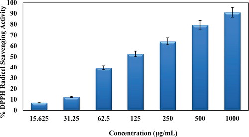 Figure 6. Antioxidant activity of CuO NPs@Pectin.