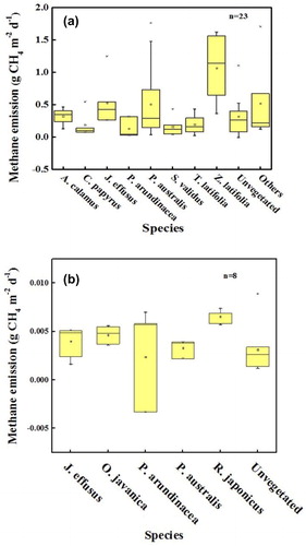 Figure 4. CH4 flux from constructed wetlands with different species (a) sewage. Others include Arundo donax, Canna indica, Glyceria maxima, Mischantus giganteus; (b) modified Hoagland nutrient solution. Boxes show median and interquartile range. Outliers are identified as points outside 1.5 times the interquartile range.