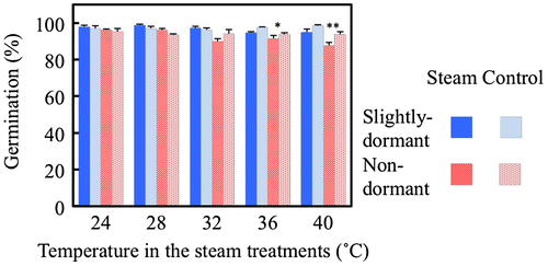 Figure 1. Germination percentage of the dormant and non-dormant seeds subjected to steam treatments using the steam cabinet for 7 d (Exp. 1). Untreated seeds were used as the control. Vertical bars indicate standard errors (n = 4). * and ** indicate significant differences between the steam treatment and the control for the slightly dormant and non-dormant seeds at p < .05 and .01, respectively, (logistic regression).