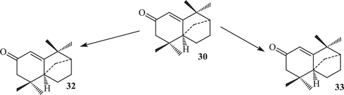 Scheme 11.  Metabolism of compound 30 by Rhizopus stolonifer.