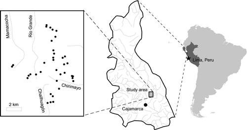 FIGURE 1 Location of study sites (dots on left panel) in the Department Cajamarca (middle panel) in Peru, South America. The study area is centered at 6°54′S, 78°22′W.
