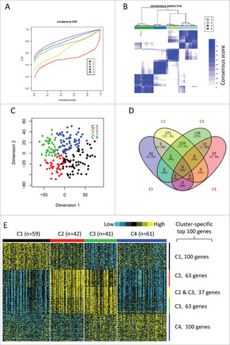 Figure 1. Identification of immune-related subtypes of HNSCCs in TCGA cohort. (A) The cumulative distribution function (CDF) curves in consensus cluster analysis. CDF curves of consensus scores by different subtype number (k = 2, 3, 4, 5, 6) were represented. (B) The consensus score matrix of all samples when k = 4. A higher consensus score between two samples indicates they are more likely to be grouped into the same cluster in different iterations. (C) Two-dimensional scaling plot by expression profile of global immune genes. Each point represents a single sample, with different colors indicating the four subtypes. (D) Venn diagram of the overlapping of genes across four subtypes. The upregulated genes for each subtype were calculated by unpaired t-test, with FDR < 0.01 and fold change > 2 as the cutoff. (E) Gene expression profile of the top 100 featured genes which were specifically upregulated in each subtype. Heat map indicates relative gene expression value, with yellow for high expression and cyan for low expression.