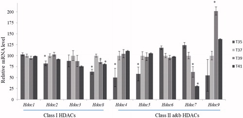 Figure 9. Expression patterns of genes encode enzymes responsible for the removal of the acetyl group from histone protein tails. Statistical difference compared between control (T37) and other temperature groups (p < 0.05).