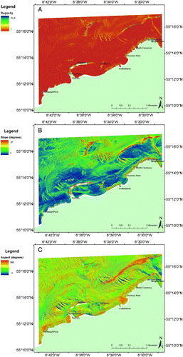Figure 4. Parameters derived from the bathymetric data: (A) rugosity, (B) slope angle and (C) aspect.