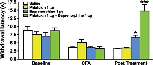 Figure 1. The effect of phlotoxin and/or buprenorphine on the heat hyperalgesia induced by injection of CFA on the hind paw of mice. The latency of paw withdrawal in response to a nociceptive heat stimulus (Hargreaves test) was evaluated before (baseline) and 24 hours after the intraplantar injection of CFA with (post-treatment) or without (CFA) the administration of phlotoxin and/or buprenorphine (30 minute administration). Each group is represented by a different coloured bar (saline – white; phlotoxin – yellow; buprenorphine – blue; phlotoxin + buprenorphine – green) with the administration of test compounds only being summarized in the post-treatment bars. Values represent means ± SEM of 6–8 mice. *p < 0.05 and ***p < 0.001 when compared to saline group (one-way ANOVA followed by Bonferroni post hoc test).