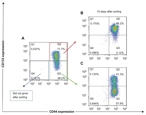 Figure 2 The expression of CD133 and CD44 after fluorescence-activated cell sorting of different subpopulations of FEMX-I cells. Phenotype of the total population of the cells before sorting (A), and phenotype of CD44highCD133high (B) and CD44highCD133low/− (C) subpopulations after 10 days’ growth after sorting. The different colors of the dots in A, B, and C show the number of overlapping dots: the red dots represent denser areas than the blue dots.