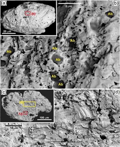 Figure 8. Porous features in detrital gold from Rakaia Gorge sandy gravel bar. A, Equant particle with some preserved porous areas. B, Close view of porous surface in a, showing micron-scale pores and albite (Ab) inclusions. C, Slightly flattened particle with smearing across the porous texture. D, Close view of particle in C, showing smears over pores and silicate inclusions.