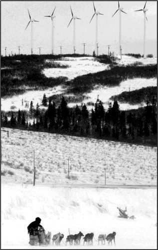 Fig. 2 Mitch Seavey was the first musher to leave the check point at Unalakleet on Sunday in the Iditarod Trail Sled Dog Race. Note the six 100-kW wind generators on the ridge. Photo Credit: Bill Roth, Anchorage Daily News, March 13, 2013.