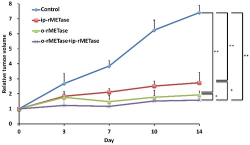 Figure 2. Quantitative efficacy of ip-rMETase, o-rMETase and the combination of ip-rMETase and o-rMETase on the BRAF V600E mutant melanoma PDOX. Line graphs show relative tumor volume at each point relative to the initial tumor volume. ##p < 0.01, #p < 0.05. Error bars: ± SD.