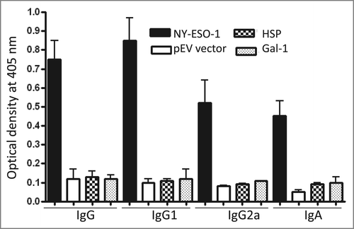 Figure 2. Antibody responses to L. plantarum expressing NY-ESO-1. BALB/c mice immunized with either L. plantarum expressing NY-ESO-1 (A) or harboring the pEV vector (B) were analyzed for the presence of NY-ESO-1-specific IgG, IgG1, IgG2a, and IgA by ELISA. Bars represent the median value of each experimental group (n = 6 ).