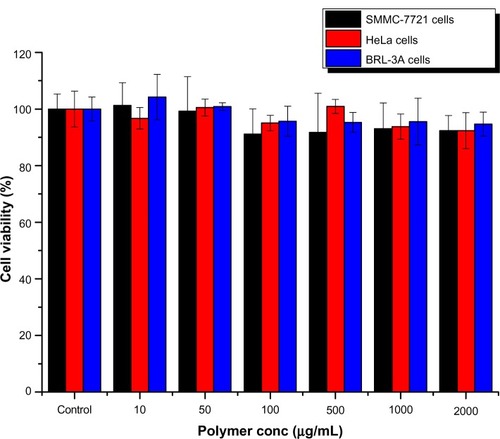 Figure 1 Cytotoxicity of nanoparticles determined by MTT ((3-4,5-dimethylthiazol-2-yl)-2,5-diphenyl-tetrazolium bromide) assays using SMMC-7721, HeLa, and BRL-3A cells (n = 6).