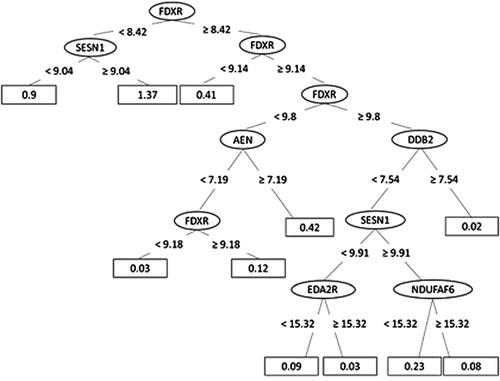 Figure 5. The decision tree for the REPTree model built for dose prediction, ending with 11 leaves (for each the dose prediction is calculated).