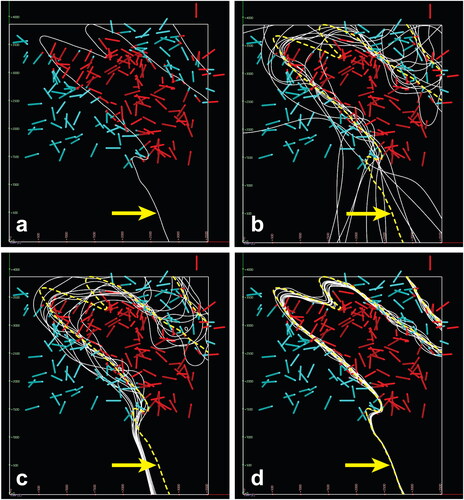 Figure 7. (a) Horizontal sectional slice located at the base of the synthetic model shown in Figure 5. The traces of the 11 models produced for Series 1, 2 and 3 are displayed in (b), (c) and (d), respectively. The arrow in the figure indicates the trace of the lithological contact from the synthetic model (a); all drill-hole segments are depicted in these sections.