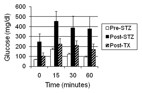 Figure 1 Intravenous glucose tolerance in rhesus macaques. Glucose in peripheral venous blood was measured prior to intravenous infusion of 0.5 g/kg over 30 seconds as 50% dextrose (Time 0) and at several times after infusion in three fasted rhesus macaques either prior to administration of 60–140 mg/kg intravenous STZ (Pre-STZ); 5 days following administration of STZ (Post STZ); or 3 months following transplantation of 20–40 E28 pig pancreatic primordia in mesentery of STZ-diabetic macaques (Post-TX). Levels measured at 60 minutes after intravenous glucose administration were not different from levels measured at Time 0 in Pre-STZ or Post-TX groups [Bonferroni Multiple Comparisons Test, p < 0.05, two tailed analysis (GraphPad Instat 3, San Diego CA)]. In contrast, levels measured at 60 minutes after intravenous glucose infusion were elevated relative to those measured at Time 0 in the Post-STZ group. Data are shown as mean ± SE (3 macaques).