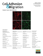 Cover image for Cell Adhesion & Migration, Volume 8, Issue 2, 2014