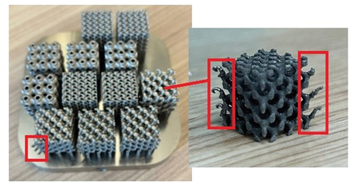 Figure 10. SLM printed lattice samples for compression.