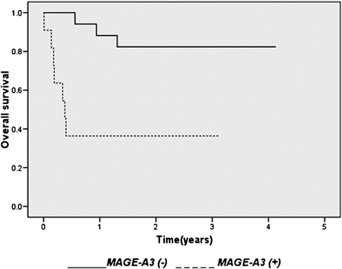 Figure 3. Survival according to MAGE-A3 expression in DLBCL. Overall survival in 11 patients with MAGE-A3 (+) and 17 patients with MAGE-A3 (−) DLBCL (P< 0·001).