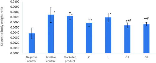 Figure 10. Spleen to body weight ratio of different groups that received different formulations at the end of the in vivo study. *Significantly different from negative control group (p<.05). +Significantly different from positive control group (p<.05). #Significantly different from marketed product group (p<.05).