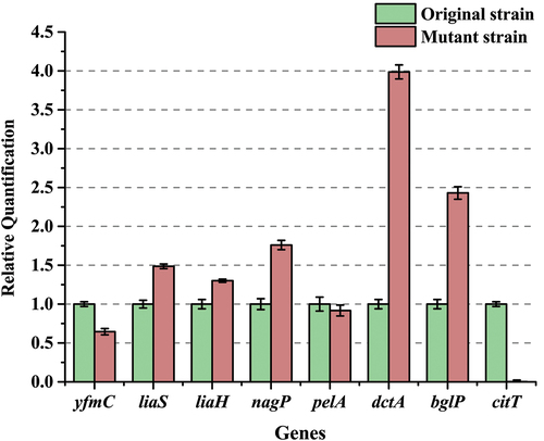 Figure 5. qRT-PCR determination of selected gene transcripts. The differential expression patterns of eight chose genes (yfmC, liaS, liaH, dctA, citT, nagP, bglP, and pelA) were substantiated by qRT-PCR analysis. mRNA levels from different samples were denoted as relative values to 16S rRNA, the ratio values for the sample original strain were arbitrarily set to 1. Six independent determinations of mRNA abundance were executed to calculate error bars in each sample.